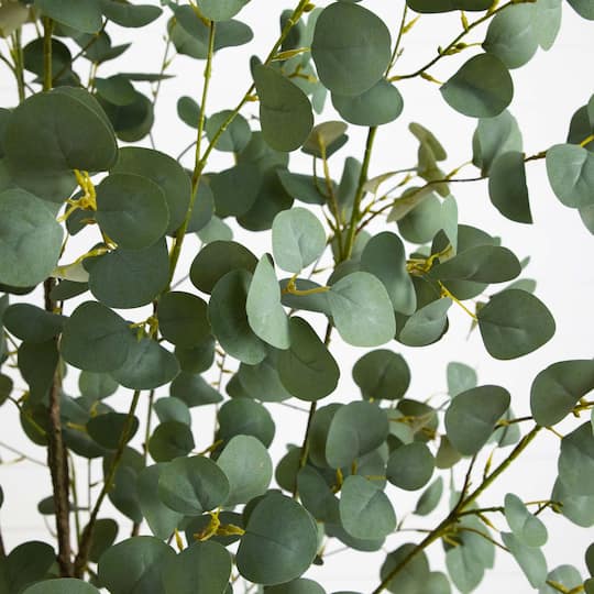 7ft. Potted Greco Eucalyptus Tree